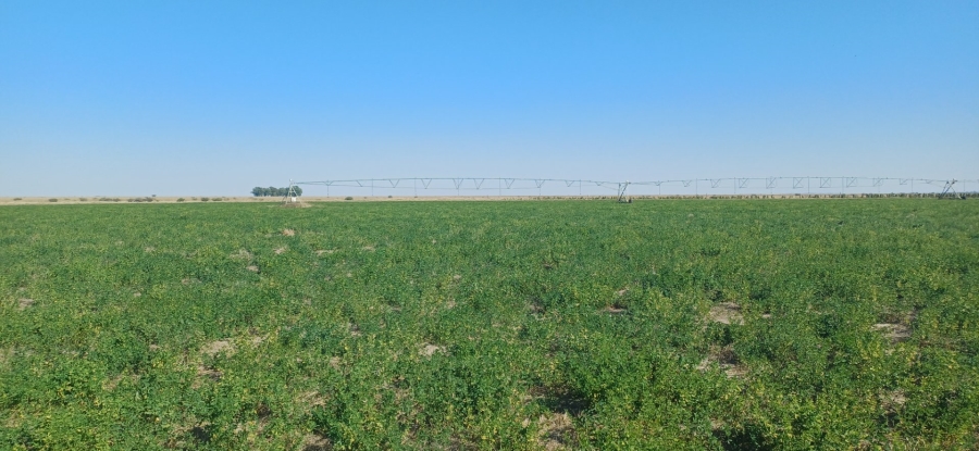 3 Bedroom Property for Sale in Klerksdorp Rural North West